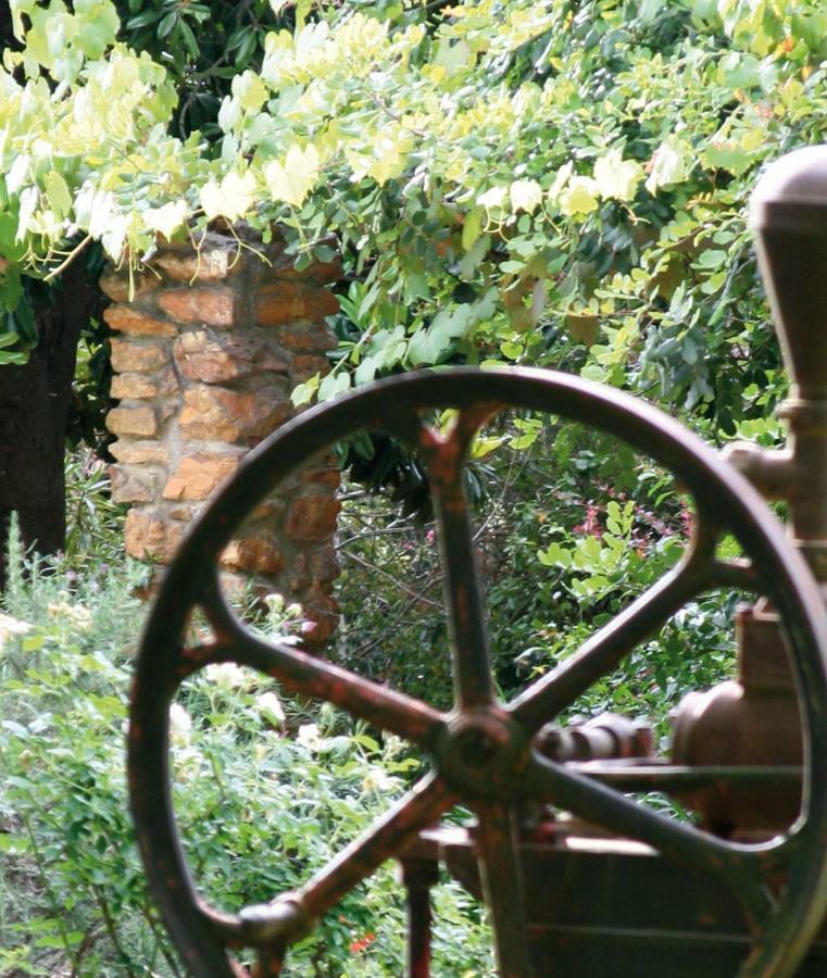 شقة Mooiplaas Wine Estate ستيلينبوش المظهر الخارجي الصورة