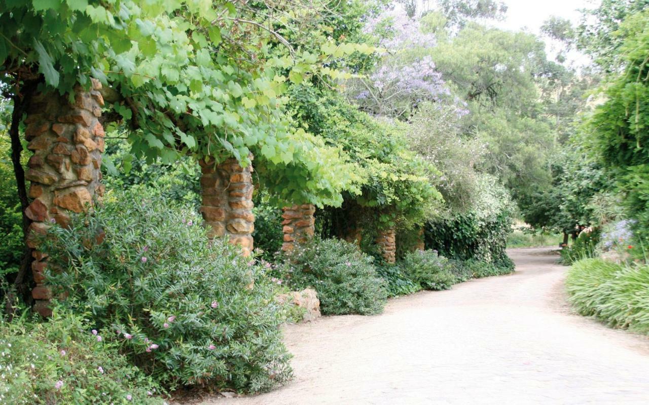 شقة Mooiplaas Wine Estate ستيلينبوش المظهر الخارجي الصورة