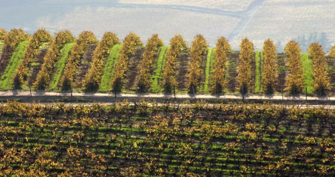 شقة Mooiplaas Wine Estate ستيلينبوش المظهر الخارجي الصورة