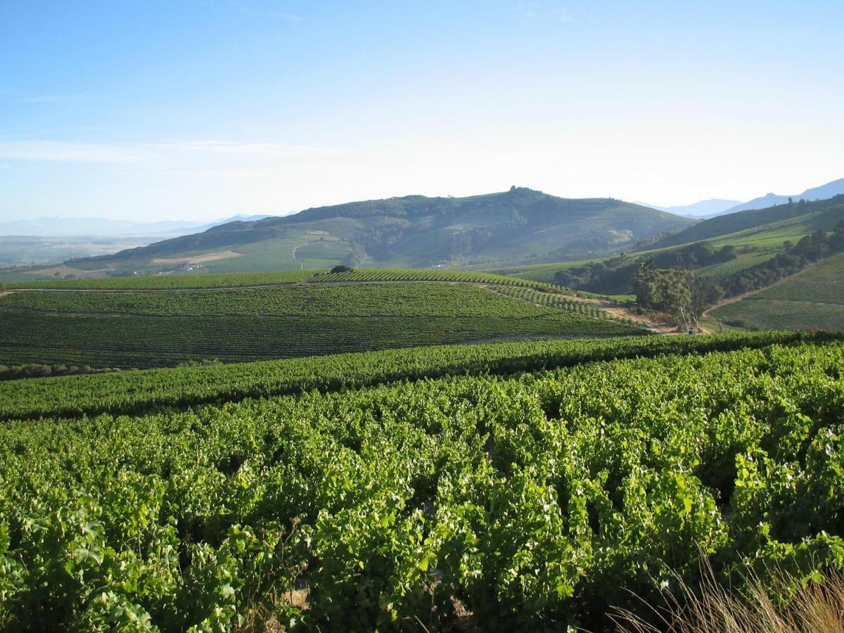 شقة Mooiplaas Wine Estate ستيلينبوش المظهر الخارجي الصورة