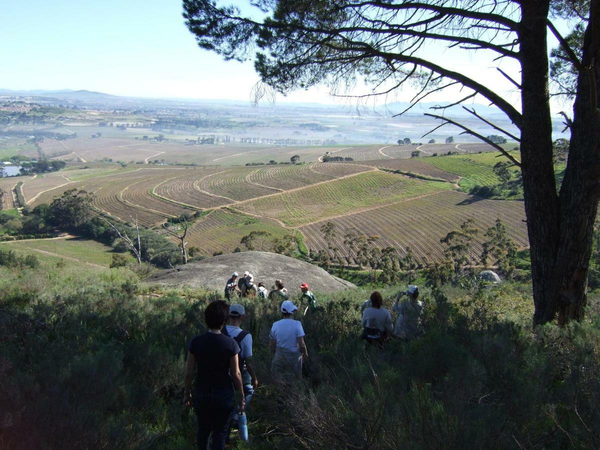 شقة Mooiplaas Wine Estate ستيلينبوش المظهر الخارجي الصورة